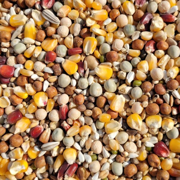 Frazers Exclusive Breeding 25kg