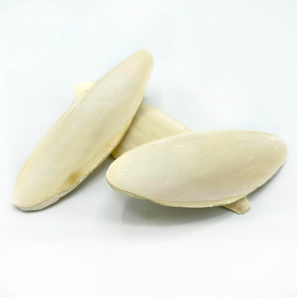 Cuttle Fish Bone 200g